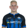 Player cutout