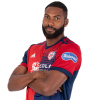 Player cutout