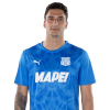 Player cutout