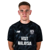 Player cutout