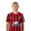 Player cutout