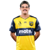 Player cutout