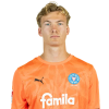 Player cutout