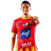 Player cutout