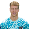 Player cutout