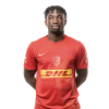 Player cutout