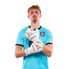 Player cutout