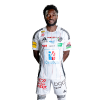 Player cutout