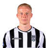 Player cutout
