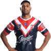 Player cutout