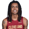 Player cutout