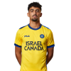 Player cutout