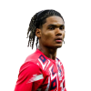 Player cutout