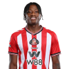 Player cutout