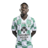Player cutout