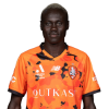 Player cutout