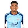 Player cutout