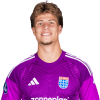 Player cutout