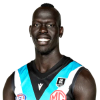 Player cutout