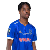 Player cutout
