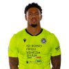 Player cutout
