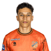 Player cutout