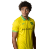 Player cutout