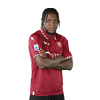 Player cutout