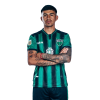Player cutout