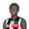 Player cutout