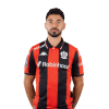 Player cutout