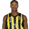 Player cutout