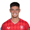 Player cutout