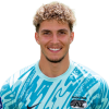 Player cutout