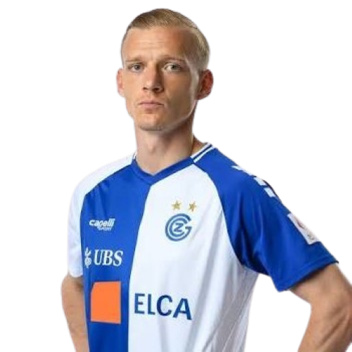 Saulo Decarli