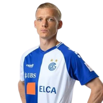 Saulo Decarli profile image