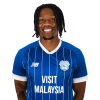 Player cutout