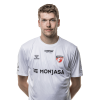 Player cutout
