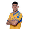 Player cutout