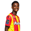 Player cutout