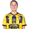 Player cutout