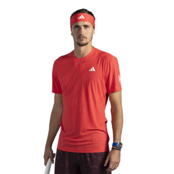 Alexander Zverev cutout