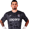 Player cutout