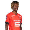 Player cutout