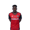 Player cutout