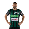 Player cutout
