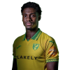 Player cutout