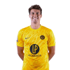 Player cutout