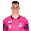 Player cutout