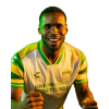 Player cutout